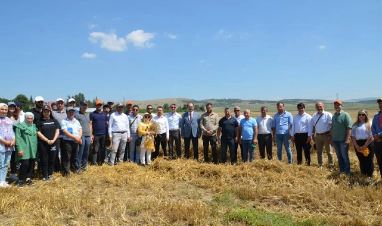 Yerli ve Milli Buğday Tohumu Demonstrasyon Çalışmaları Başlatıldı