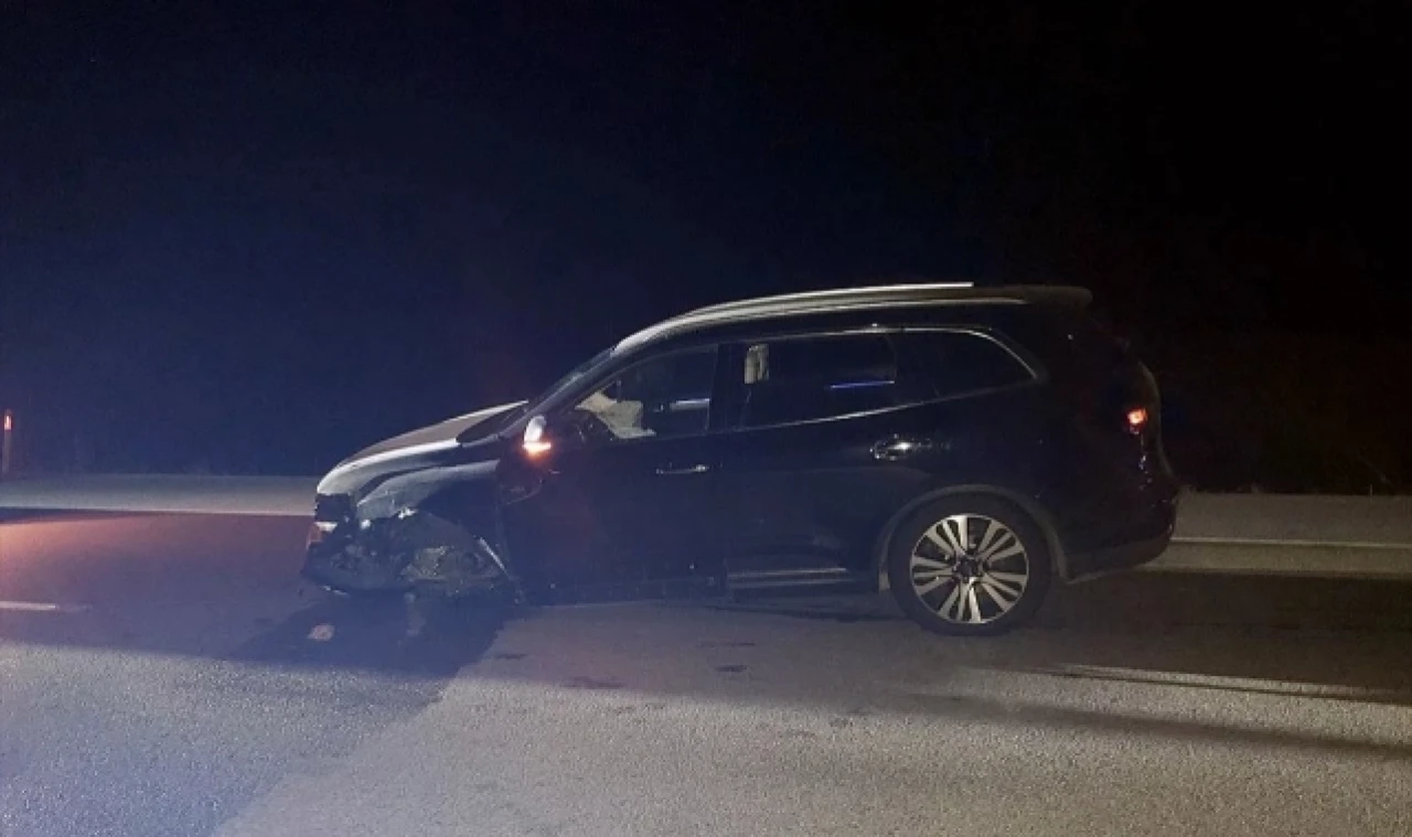 3 otomobilin çarptığı büyükbaş hayvan telef oldu