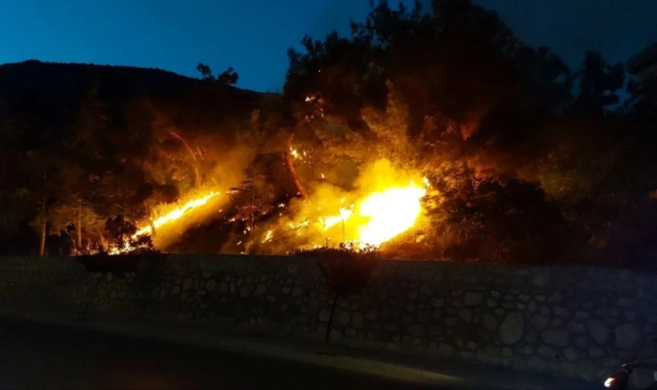 Amasya'da çıkan yangın itfaiye ekiplerince söndürüldü