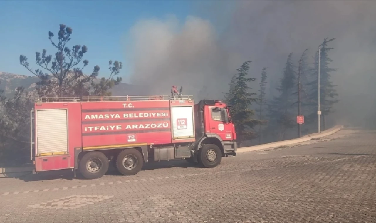 Amasya'da Ormanlık Alanda Yangın Çıktı