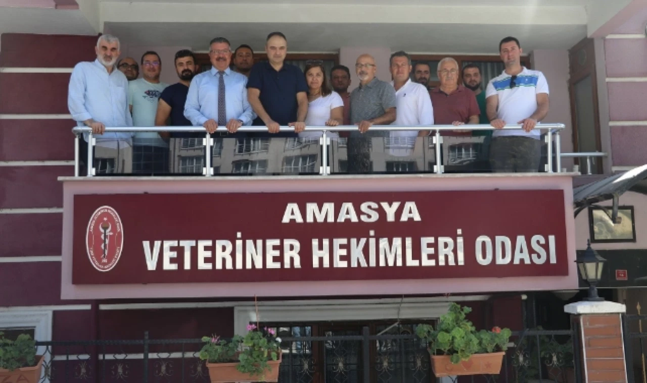 Amasya'da veterinerler şiddete karşı bir araya geldi