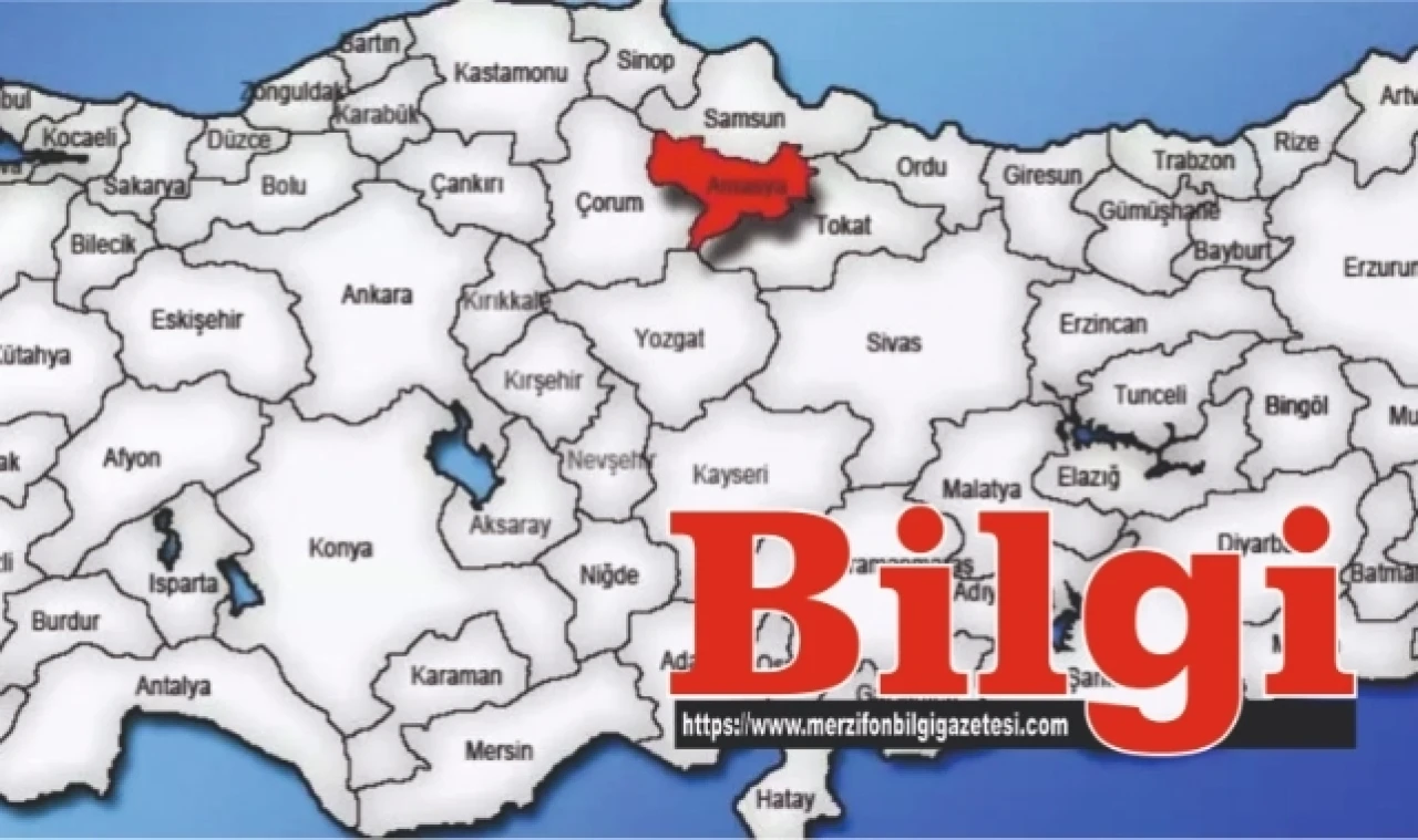 Hafif Ticari Araç Kaza Yaptı, 1 Kişi Yaralandı