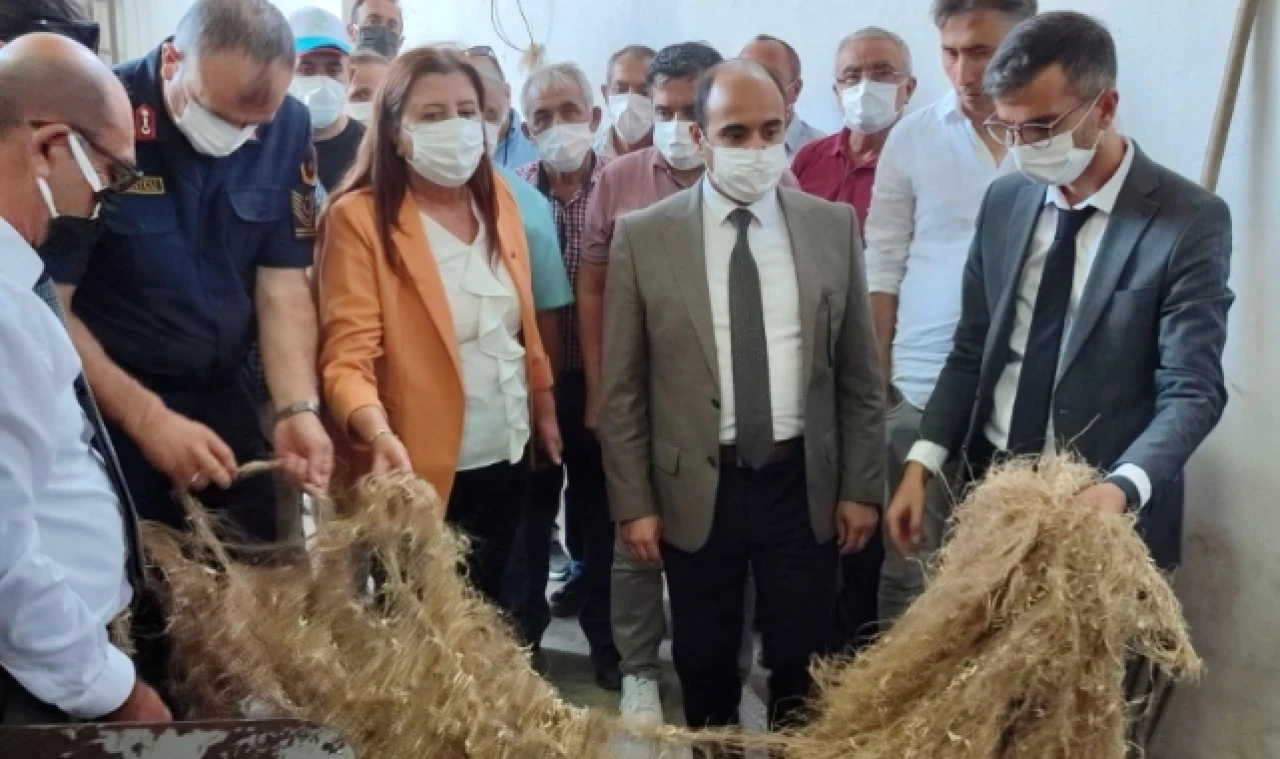 Kenevir Yetiştiriciliğinin ve Sanayisinin Canlandırılması projesinin kapanış toplantısı yapıldı