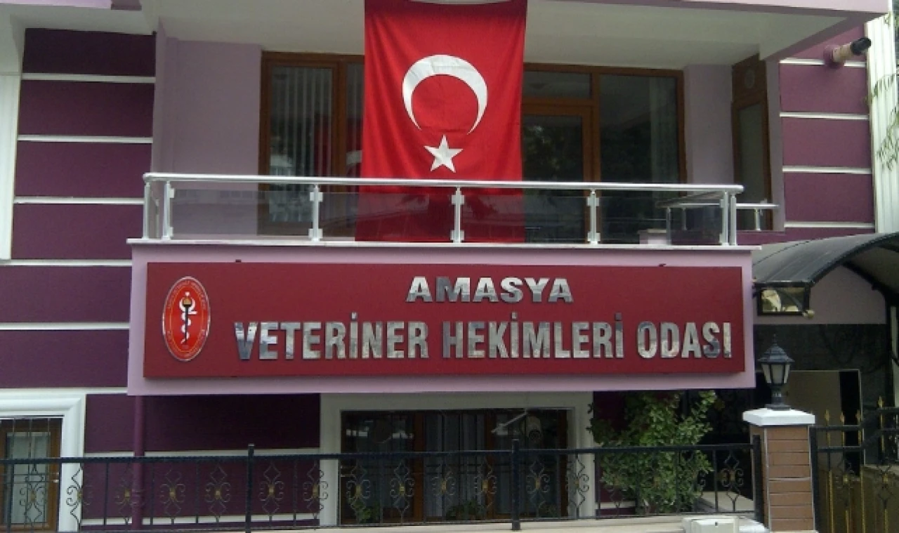 Veteriner Hekimler Sağlıkta Şiddet Yasası'na Dahil Olmak İstiyor