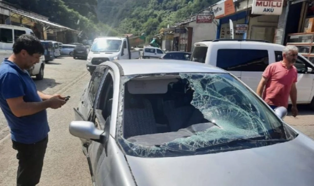 Yaylaya inen ayı park halindeki otomobili kullanılamaz hale getirdi.