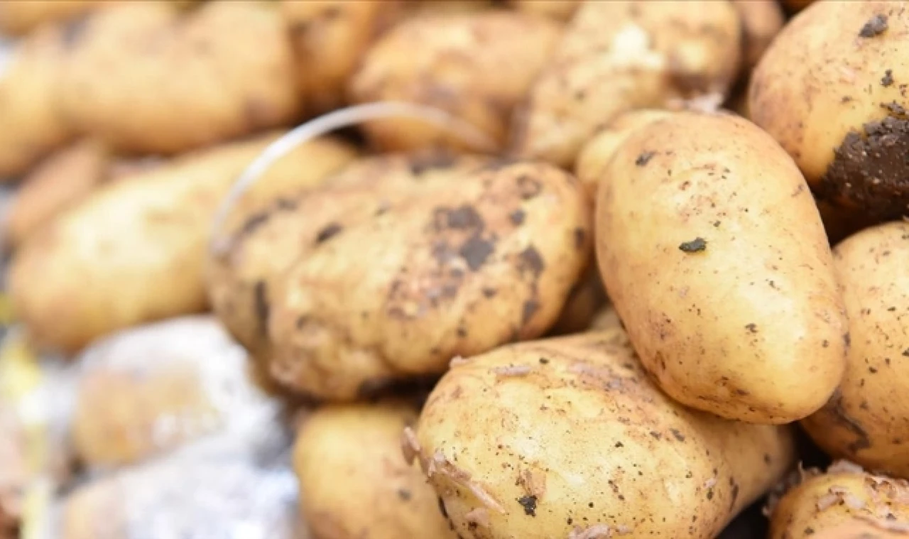 Ağustos'ta fiyatı en fazla artan ürün "şans oyunları", düşen ürün ise "patates" oldu
