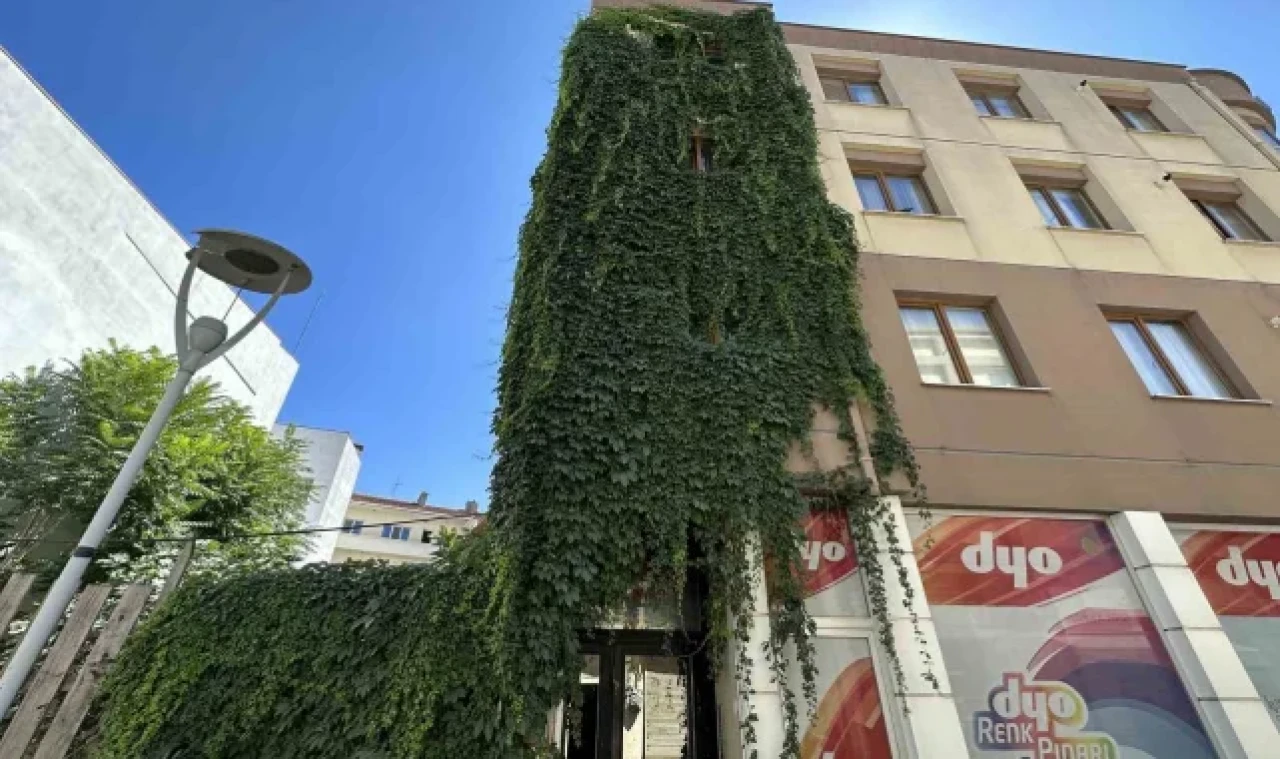 Apartmanı saran sarmaşıklar dikkat çekiyor