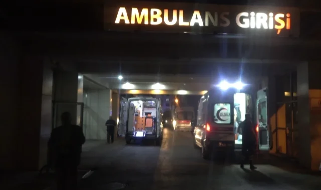 Armut toplarken ağaçtan düşen şahıs yaralandı