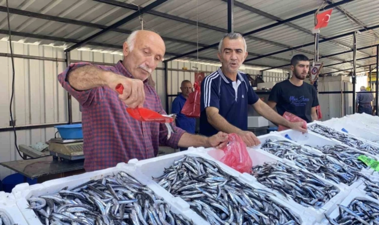 "Balık tezgahları beklenen ilgiyi görmedi"