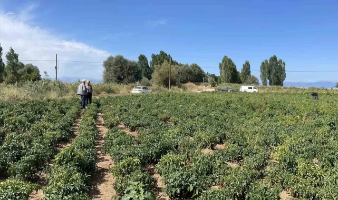 Beyşehir'de çiftçiler ürün zararlılarına karşı bilgilendiriliyor