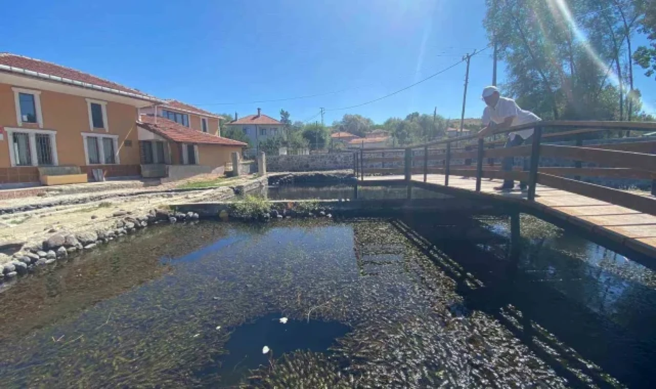 Binlerce asker balığının salındığı göl turizme kazandırılacak