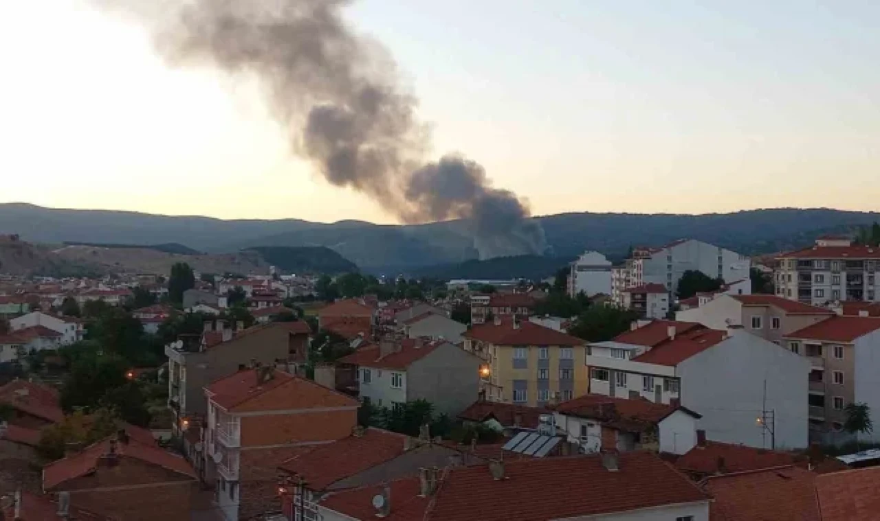 Bozüyük'te çöplük alanda yangın çıktı