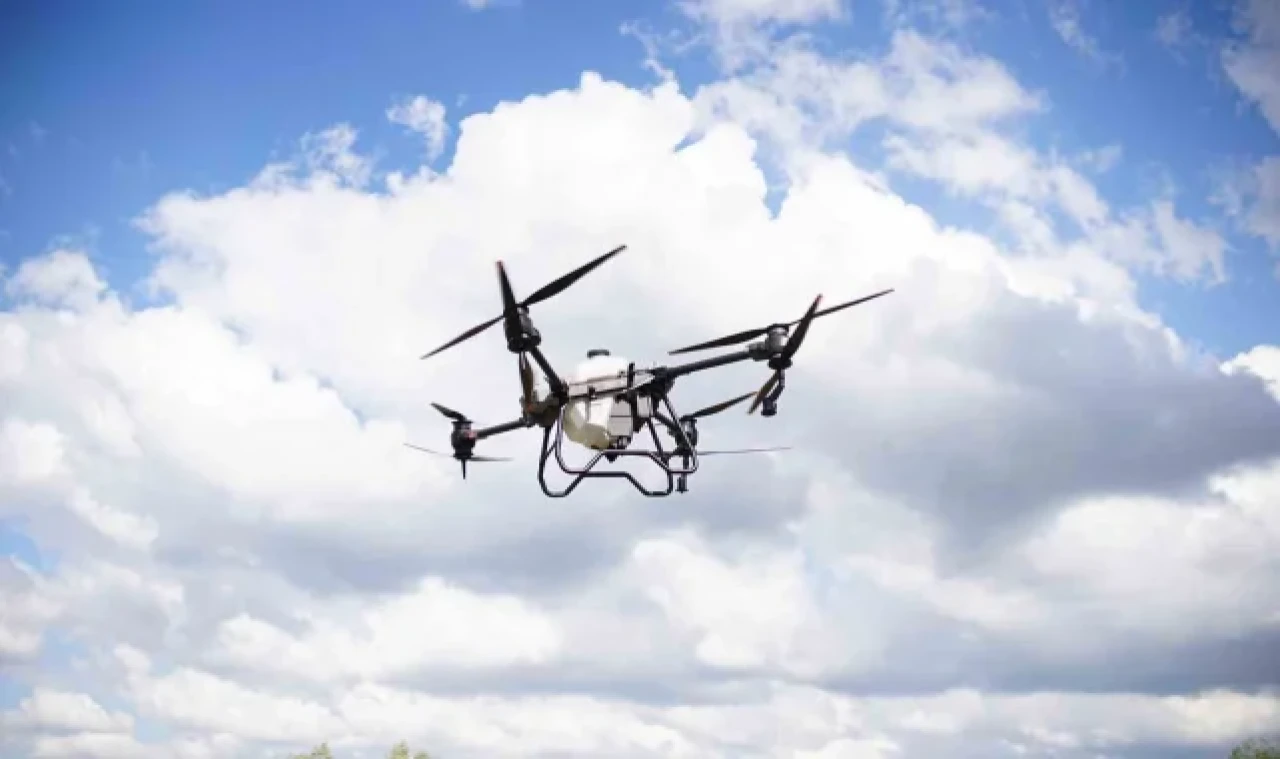 Çarşamba Ovası'nda ulaşımı zor tarım alanları dronla ilaçlanacak
