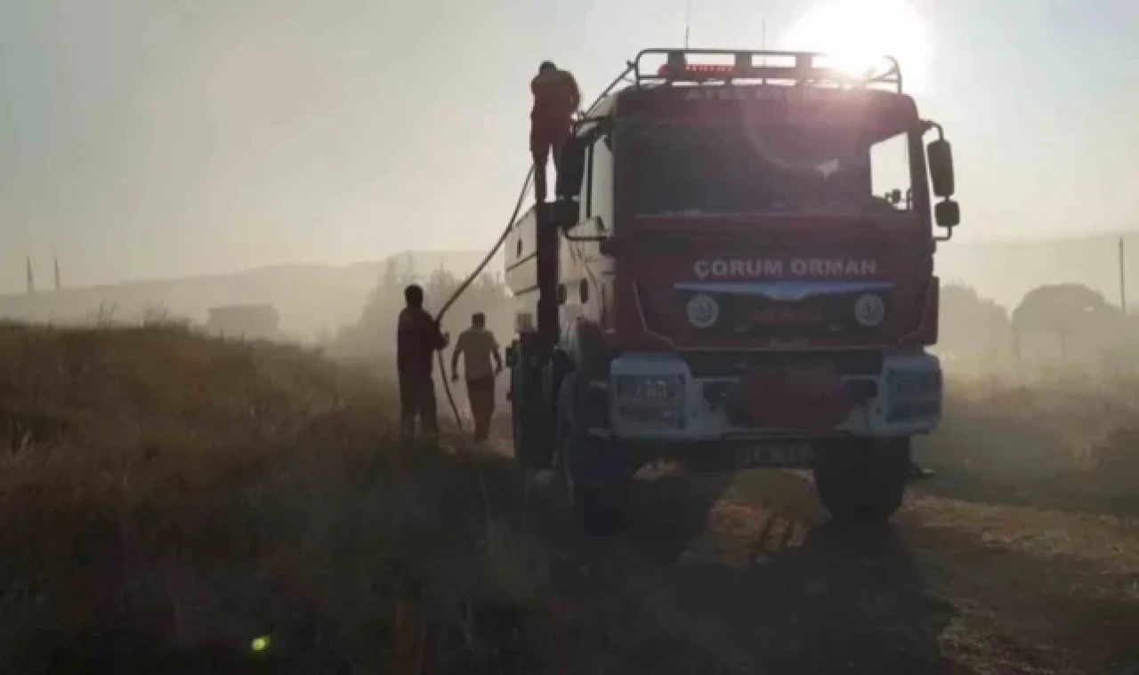 Çorum'da 15 bin dönüm arazi küle döndü