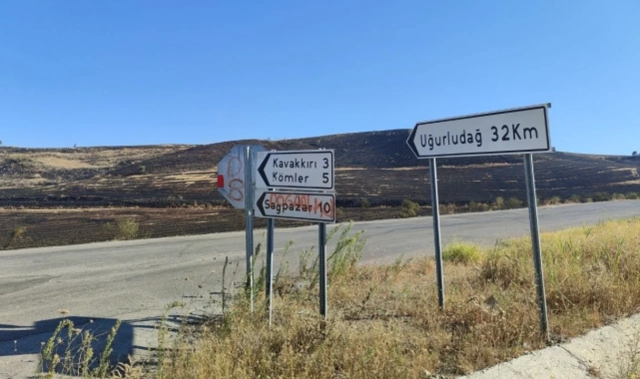 Çorum'da anız yangını: Yüzlerce dönüm alan zarar gördü