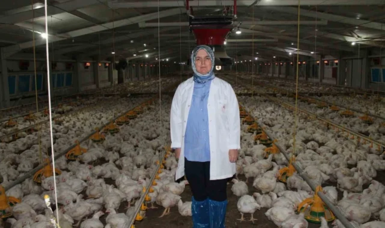 Devletten aldığı destekle üretim yapıyor