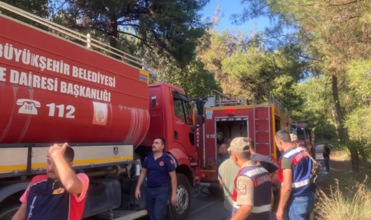 Erzin'de çıkan orman yangını söndürüldü