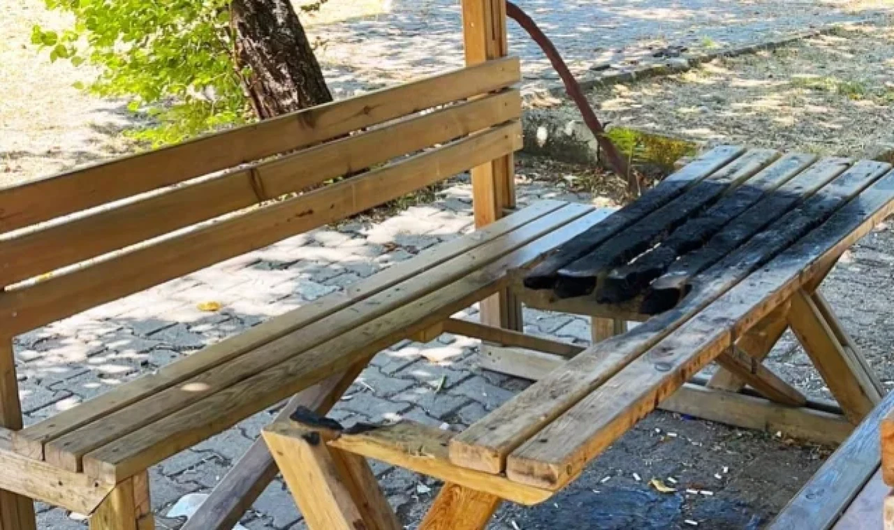 Gediz'de kamelyalara zarar veren kişi veya kişiler tepki