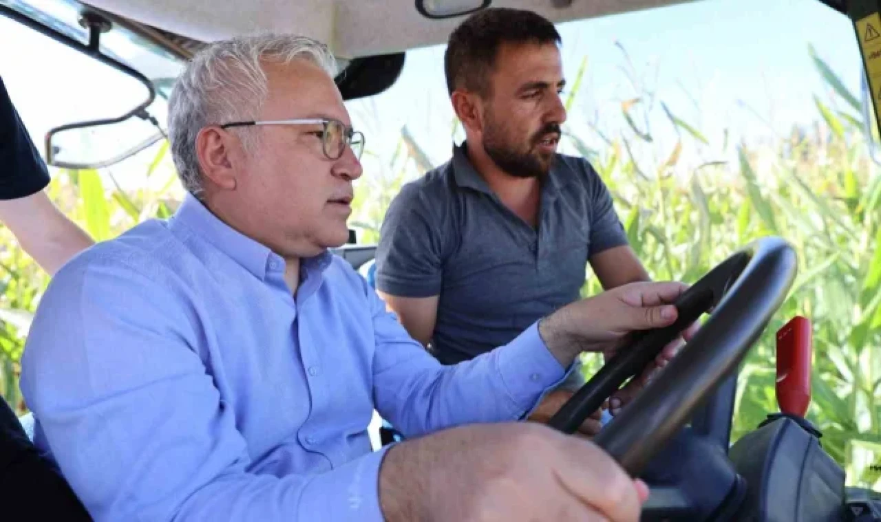 Hasadı başladı, 200 bin ton rekolte bekleniyor