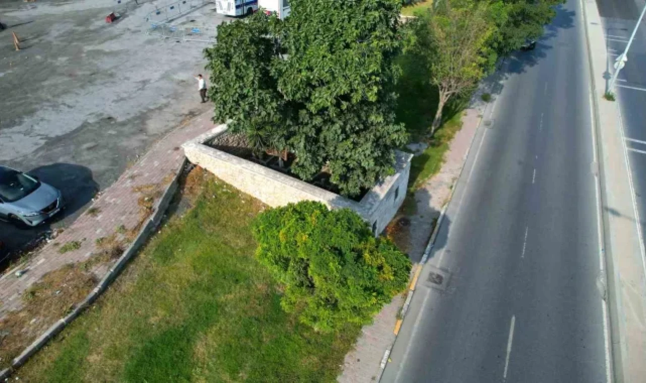 İstanbul'un fethinde şehit olan askerlerin kabirlerinin bulunduğu türbe çöplüğe döndü