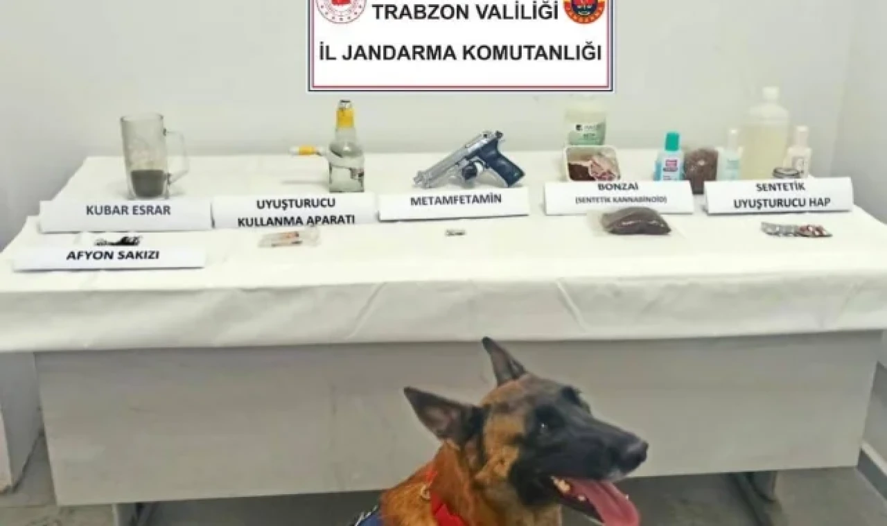 Jandarma narkotik köpeği 'Limon' ilk operasyonunda tespit etti