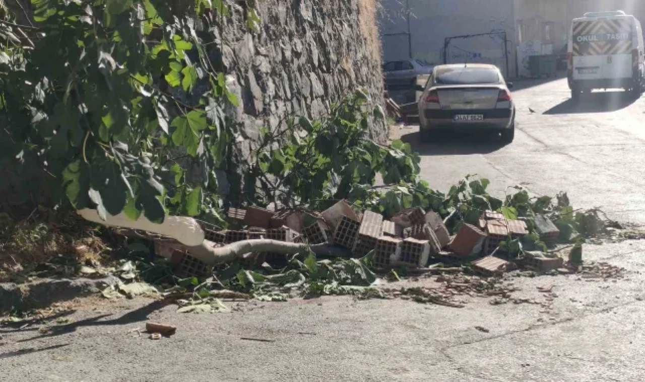 Kağıthane'de 13 yaşındaki kız incir toplarken canından oluyordu