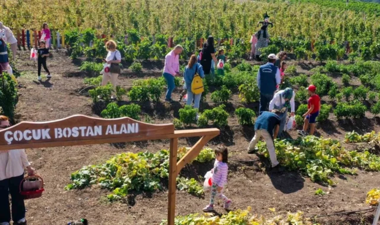 Keçiören'de kreş öğrencileri bostanda hasat yaptı
