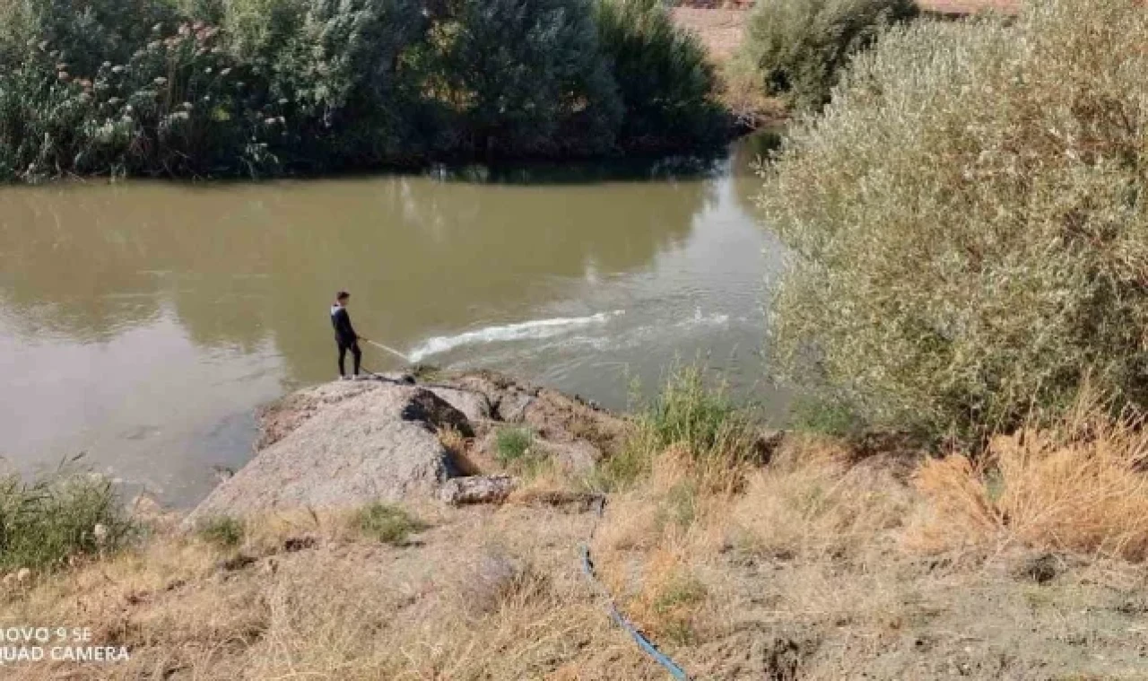 Kızılırmak'ta üvez sineği ile etkin mücadele devam ediyor