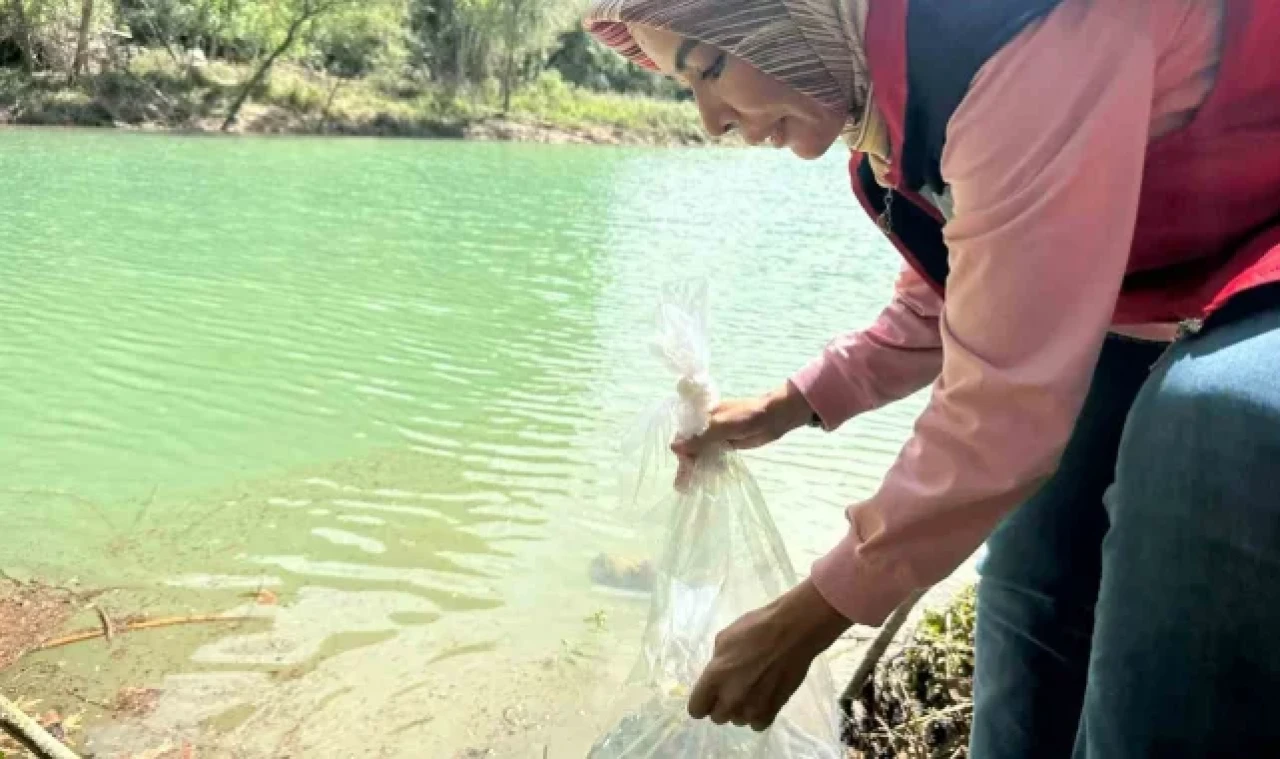 Osmaniye'de Tahta Barajı'na 20 bin pullu sazan yavrusu bırakıldı