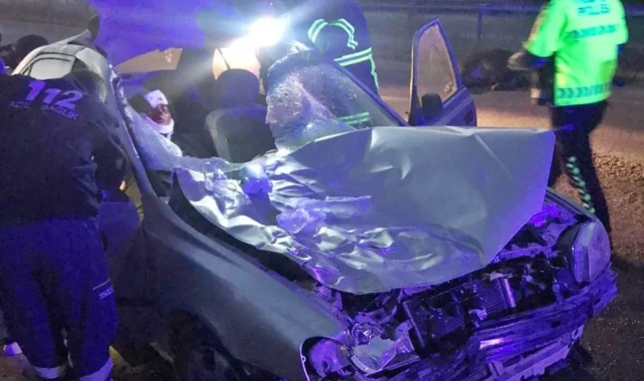 Otomobil büyükbaş hayvanlara çarptı: 2 yaralı