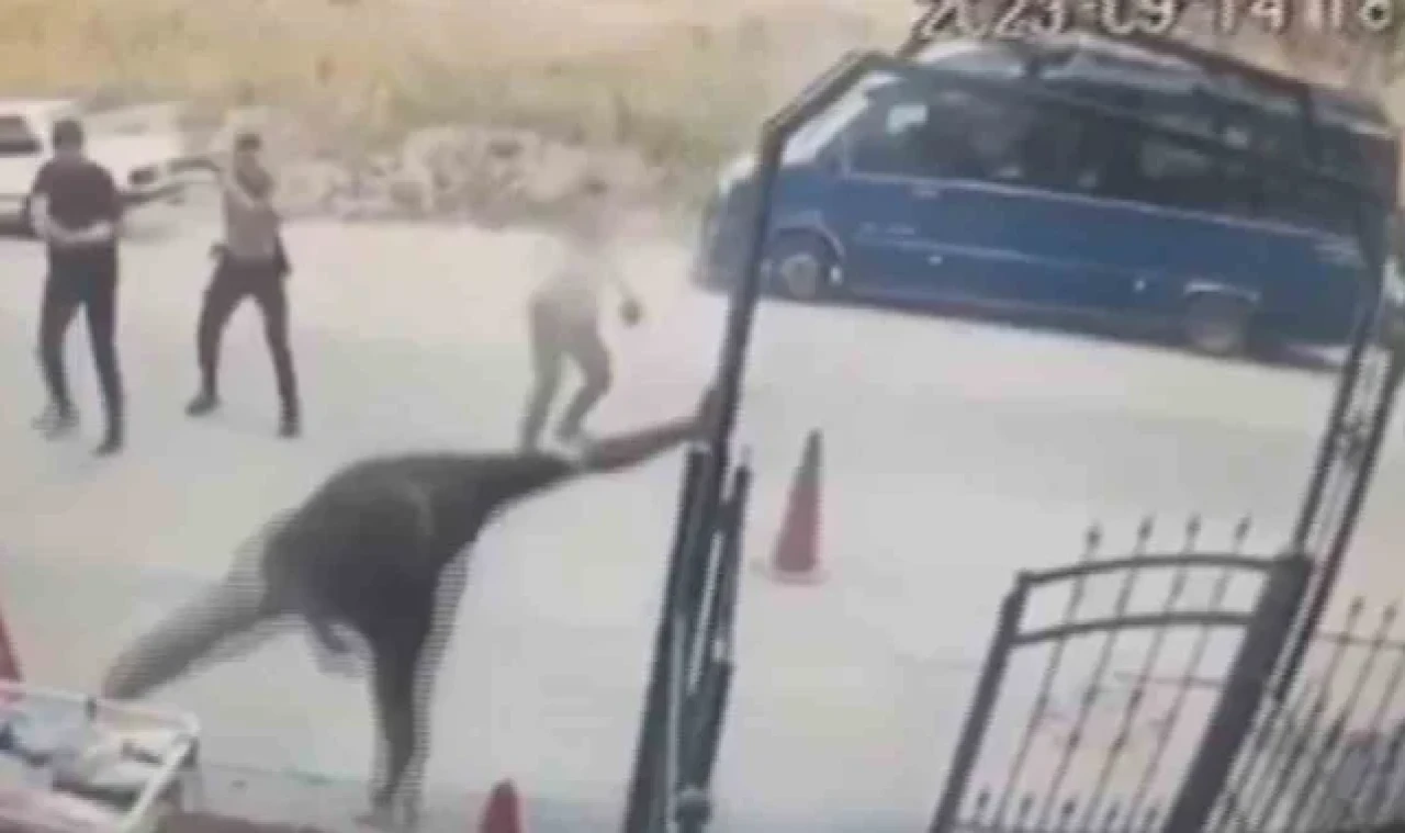 Polisi bıçakla yaralayan hırsız bacaklarından vurularak etkisiz hale getirildi
