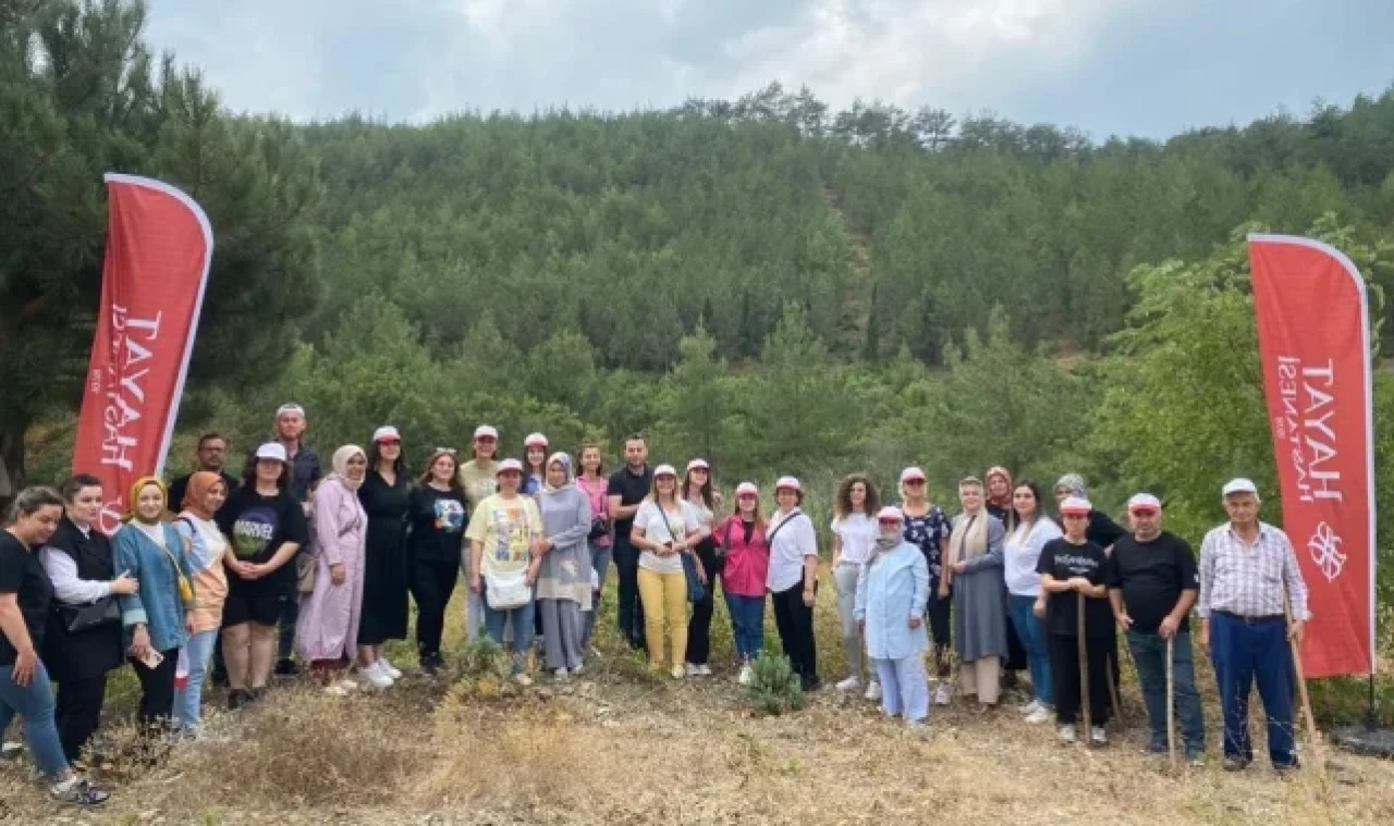 Sağlık çalışanları ağaçların da bakımını yaptı