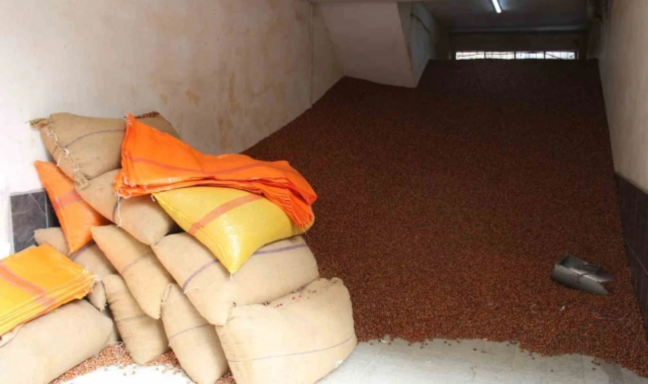 Serbest piyasada fındık 100 TL'ye ulaştı