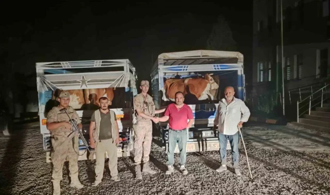 Siirt'te çaldığı büyükbaş hayvanı satarken yakalanan hırsız tutuklandı