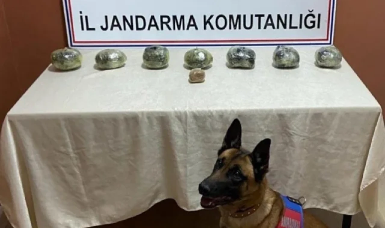 Siirt'te peynir bidonuna gizlenmiş uyuşturucu ele geçirildi
