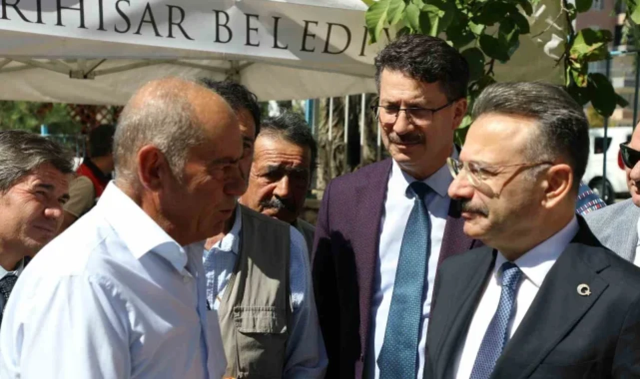 Sivrihisar kanola çiçekleri ile sarıya boyanıyor