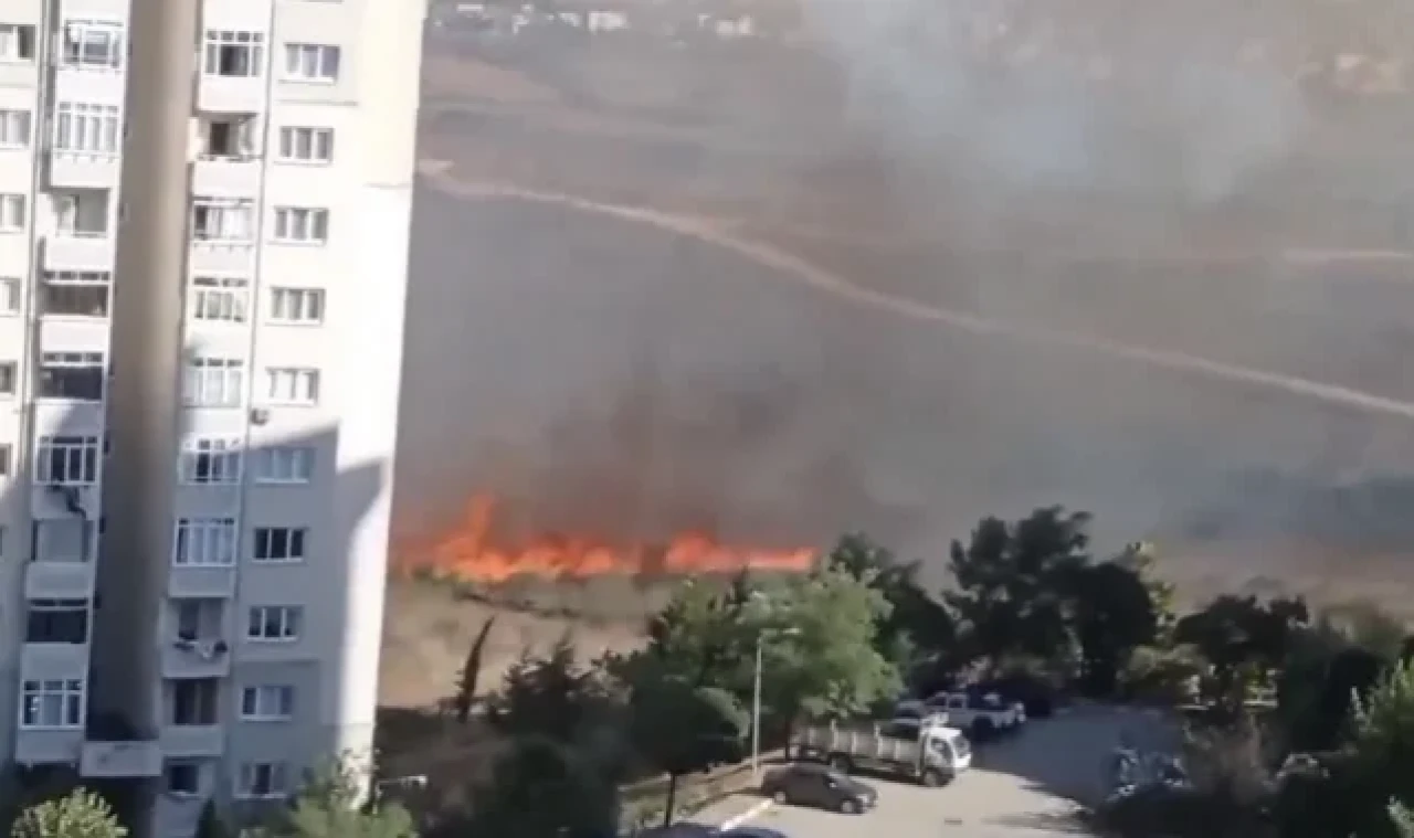 Tuzla'da orman yangını