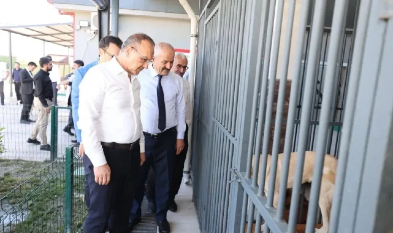 Vali Yavuz Gebze'deki projeleri inceledi