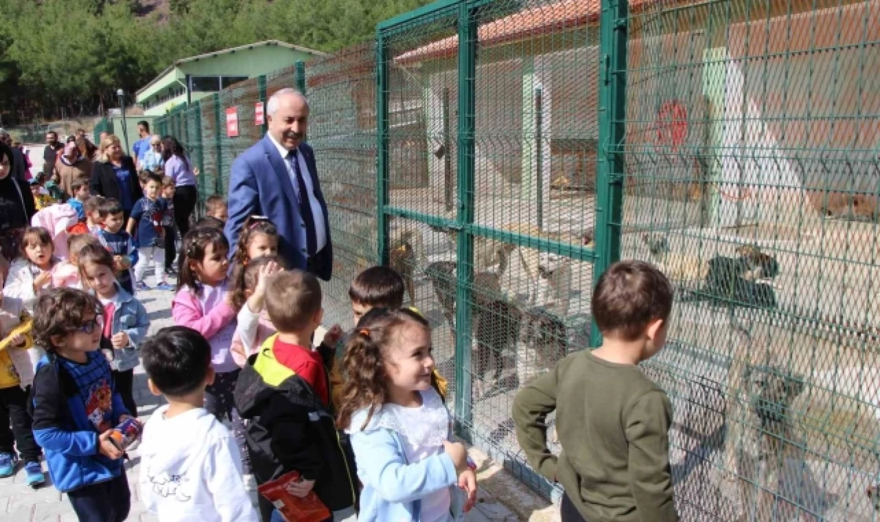 Amasya Belediyesi hayvan barınağına veteriner hekimler odası başkanından tam puan: "Gezerken gurur duyuyorum"