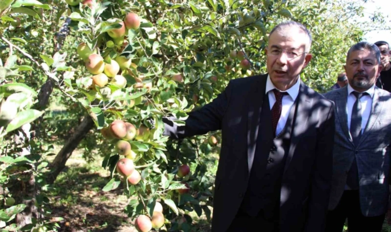 Amasya Valiliği elma için özel projeler planlayacak
