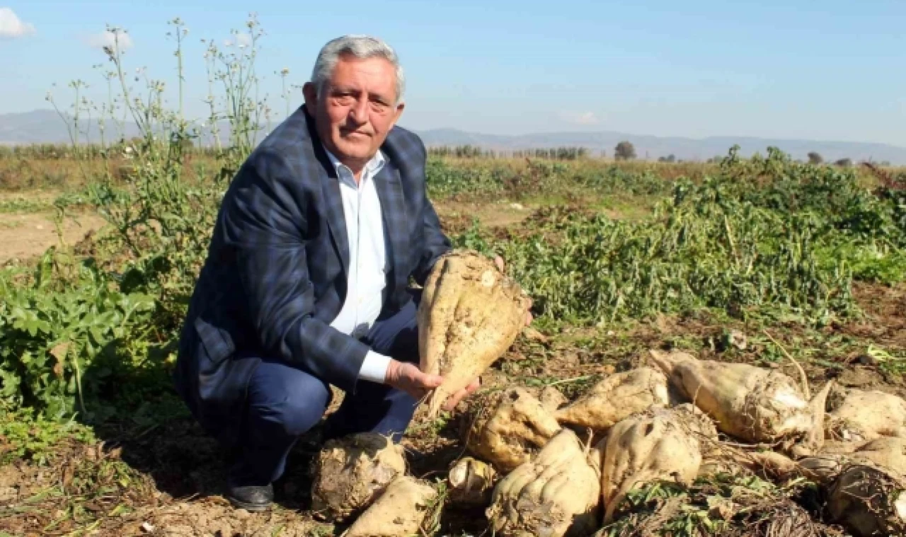 Çiftçi pancar şekeri fiyatından memnun değil