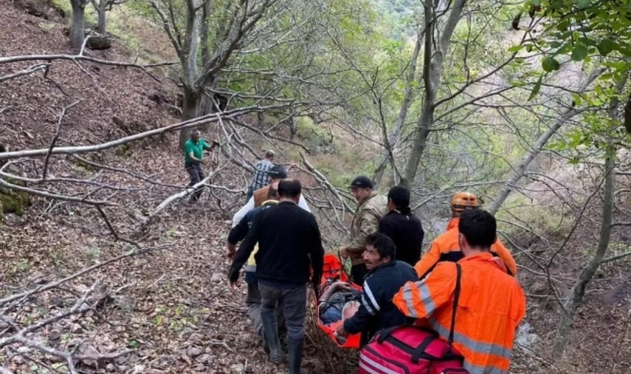Ekipler ağaçtan düşen adam için seferber oldu