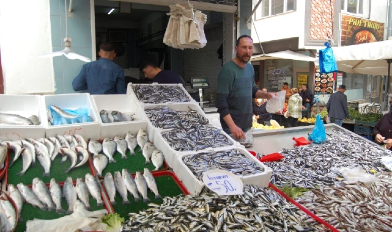 Hamsi’nin fiyatı yükselişte
