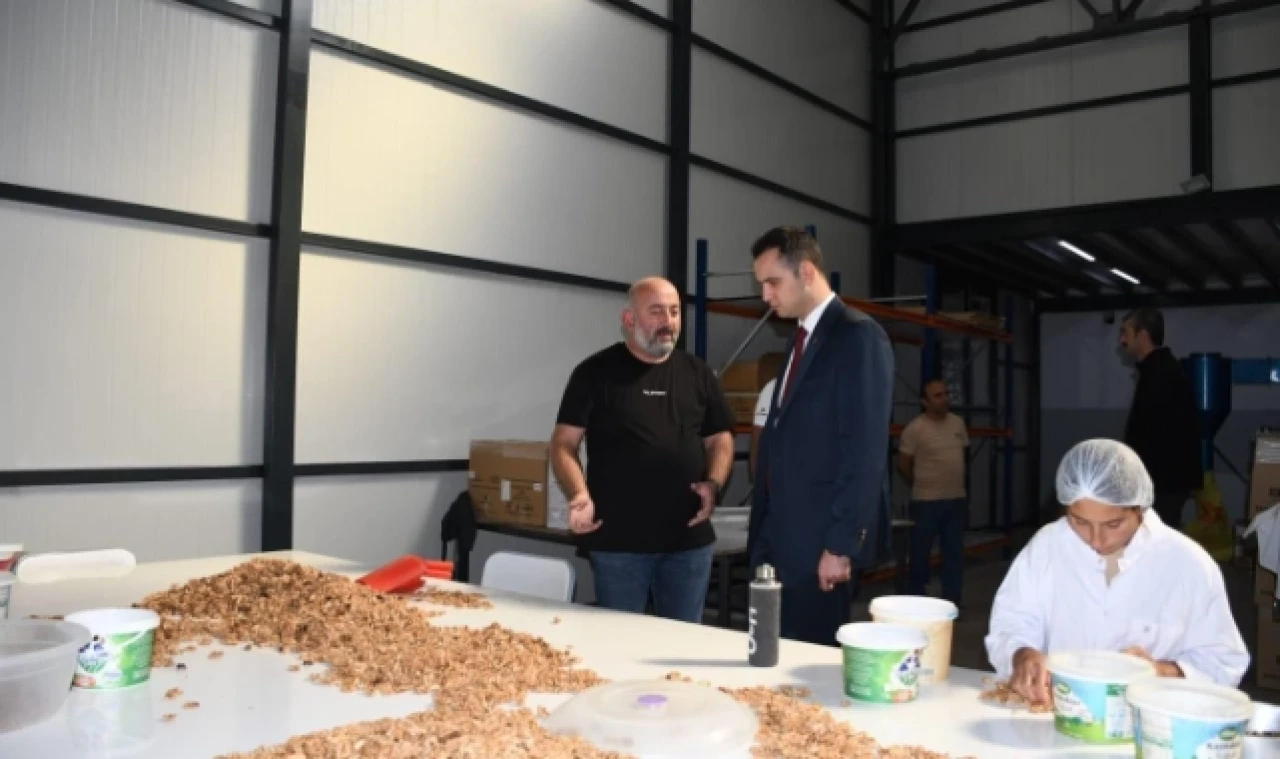 Kaymakam Büyükkaymakçı’dan ceviz işletmesine ziyaret