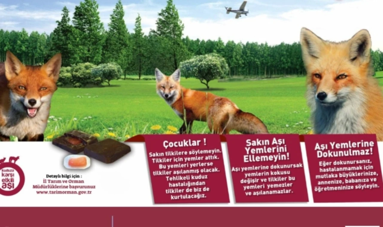 "Tilkilere söylemeyin, yemlerini ellemeyin"