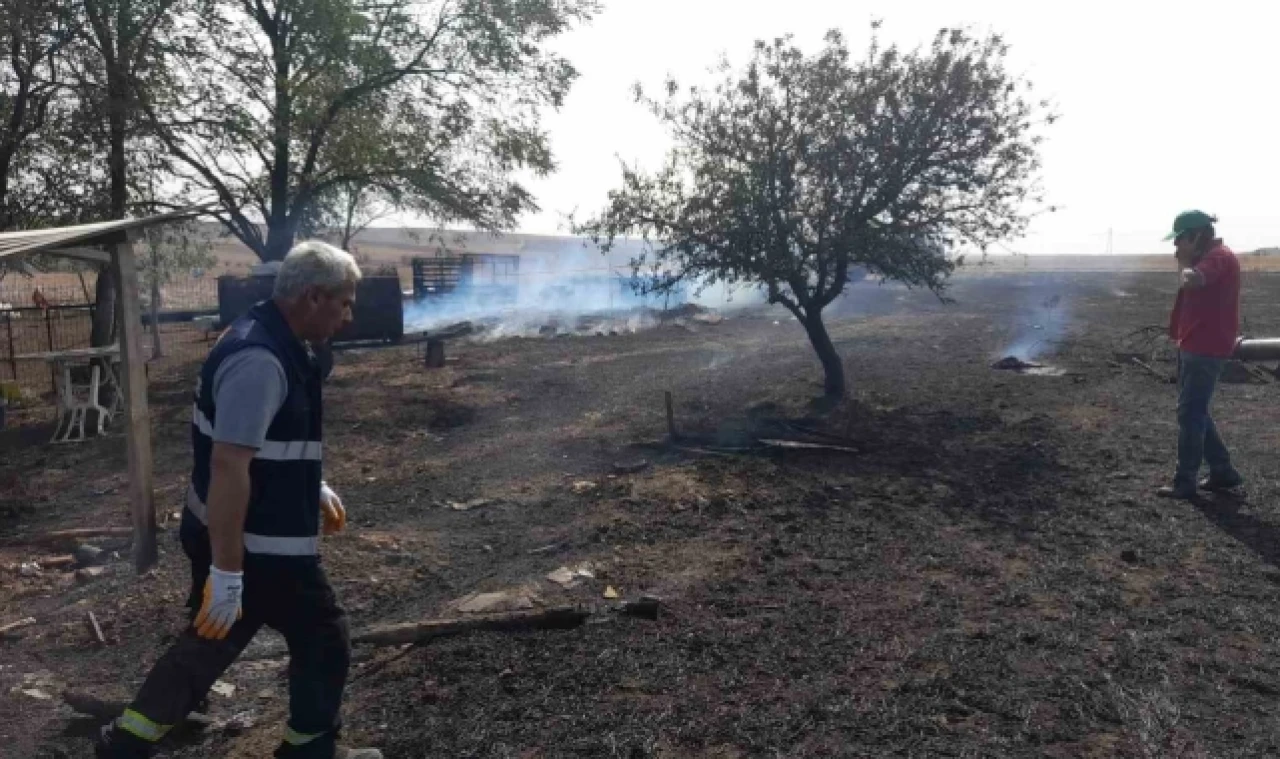 Yangında 500 dönüm tarım arazisi ve 3 ahır zarar gördü