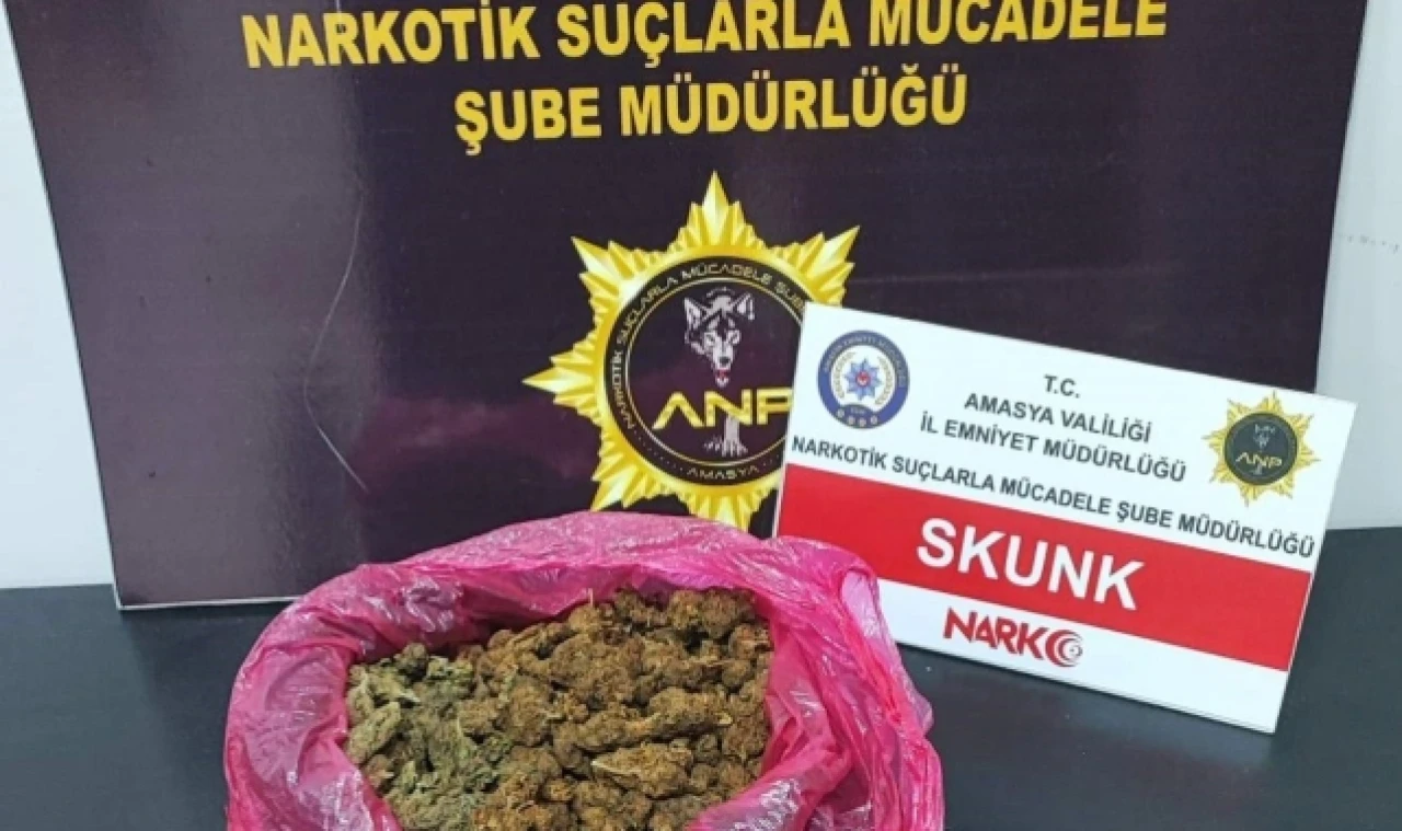 Amasya'da polisten uyuşturucu operasyonları: 9 gözaltı