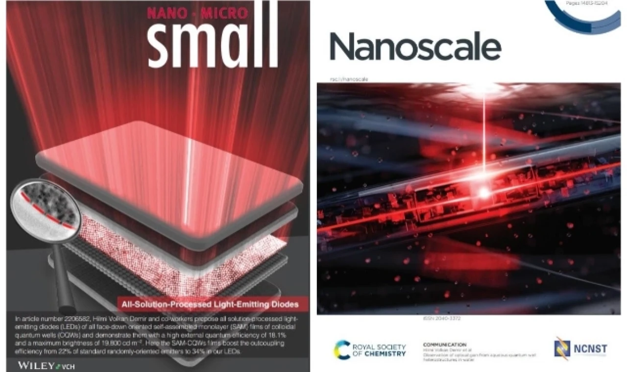 Bilimsel makaleler "Nanoscale" ve "Small-Wiley" dergilerinde kapak oldu