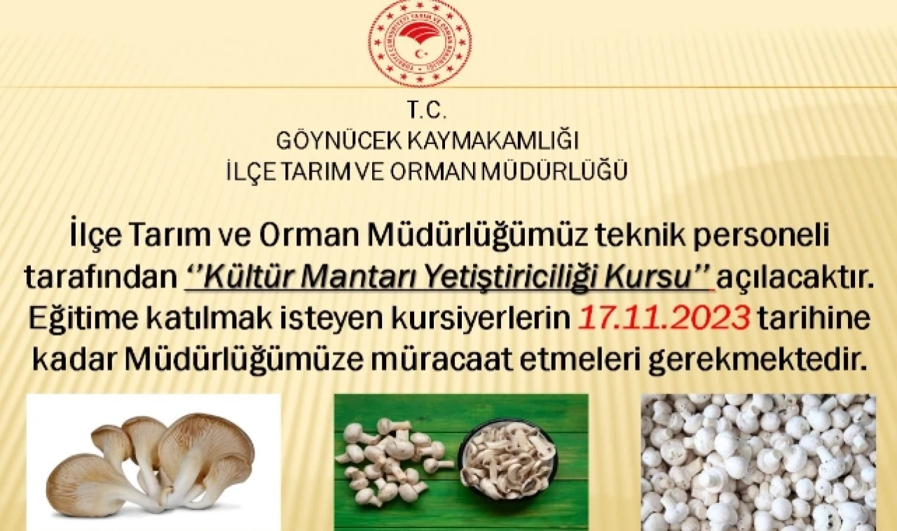 Kültür Mantarı Yetiştiriciliği Kursu Açılacak