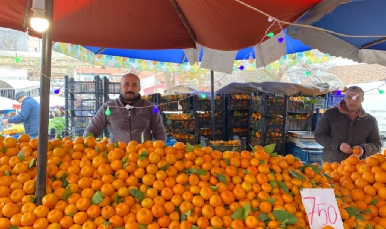 “Bedavadan ucuz, nakliye parası bile değil”